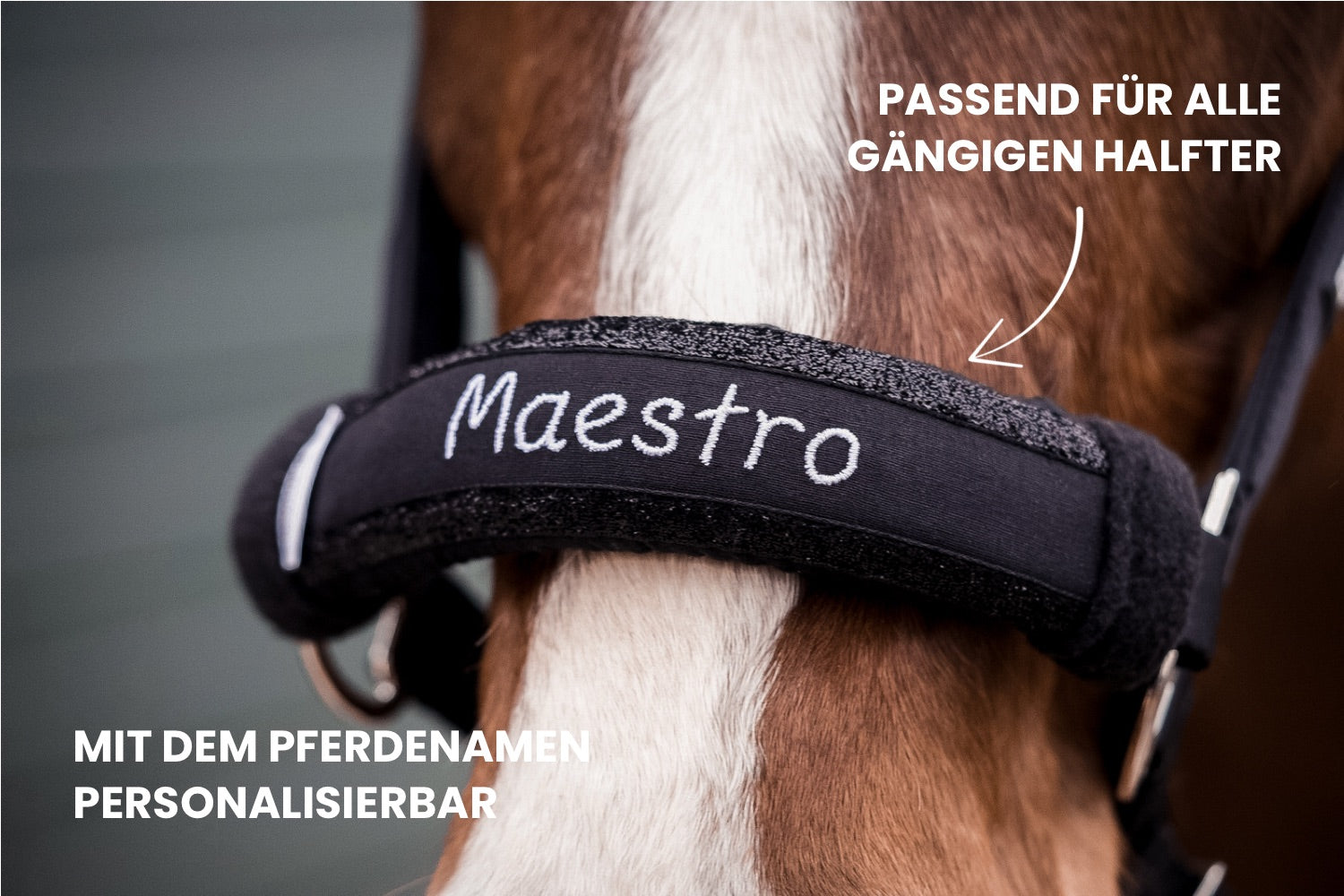 Nasenband mit Namen Pferd