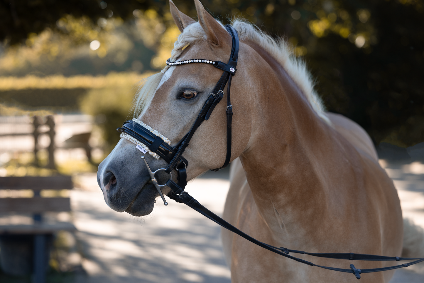 Trensenunterlage für empfindliche Pferde