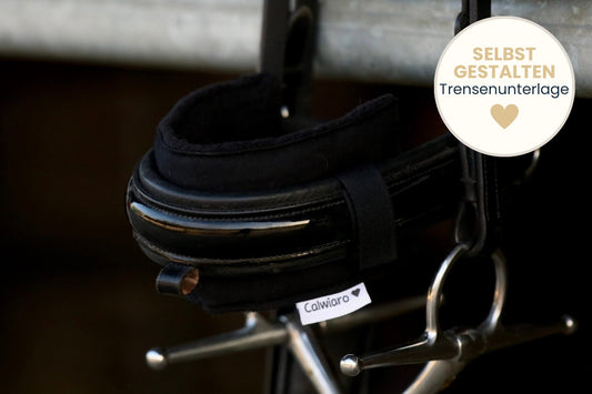 Pferd empfindlich am Nasenrücken