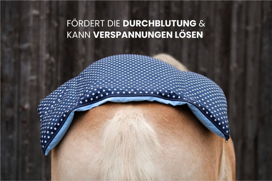 Dinkelkissen Pferd