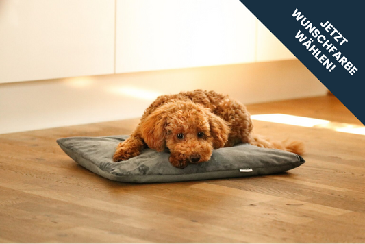 Hunde Wärmekissen Carly